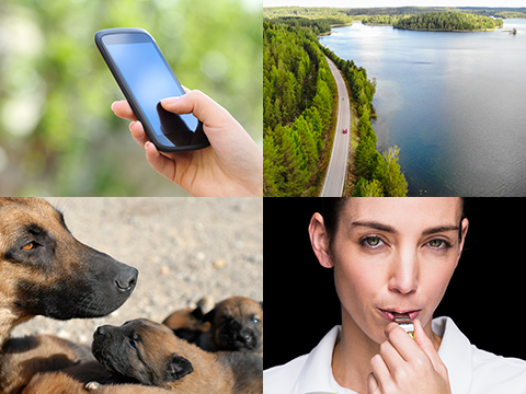 Lisää tietoa asiantuntijapalveluista.