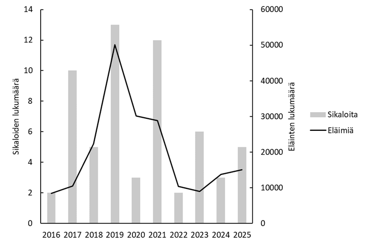 Diagrammet visar att antalet smittade svingårdar var 2 år 2016. Därefter steg kurvan kraftigt och uppgick till 13 år 2019. Sedan dess har antalet minskat (5 år 2025).